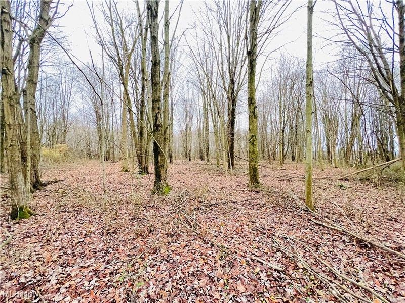 00 Kinsman Knickerson Road, Kinsman, OH 44428 Photo 2