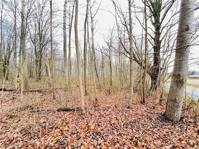 00 Kinsman Knickerson Road, Kinsman, OH 44428 Photo 3