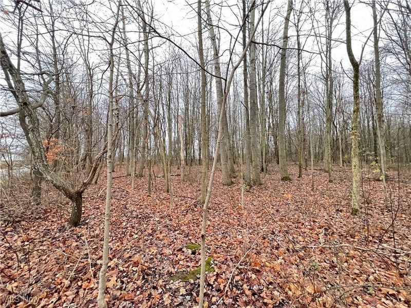 00 Kinsman Knickerson Road, Kinsman, OH 44428 Photo 4