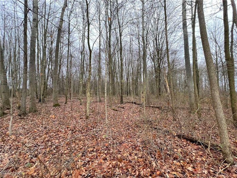 00 Kinsman Knickerson Road, Kinsman, OH 44428 Photo 5