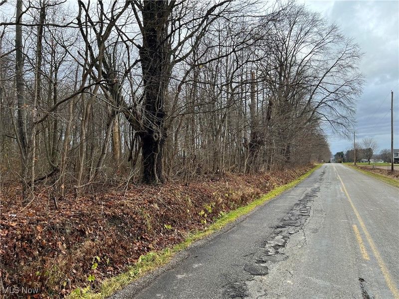 00 Kinsman Knickerson Road, Kinsman, OH 44428 Photo 7