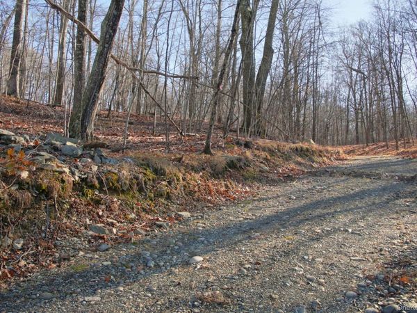 Electronics Road, Clinton Corners, NY 12514