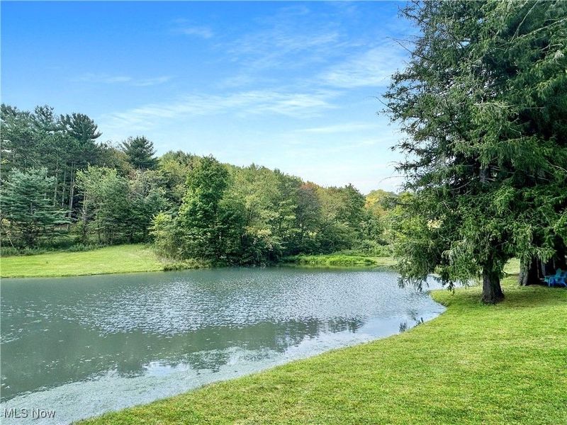 5696 Steubenville Road SE, Amsterdam, OH 43903 Photo 40