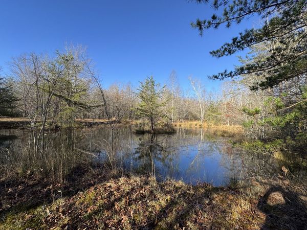 224 Azalea Ridge Rd, Tracy City, TN 37387