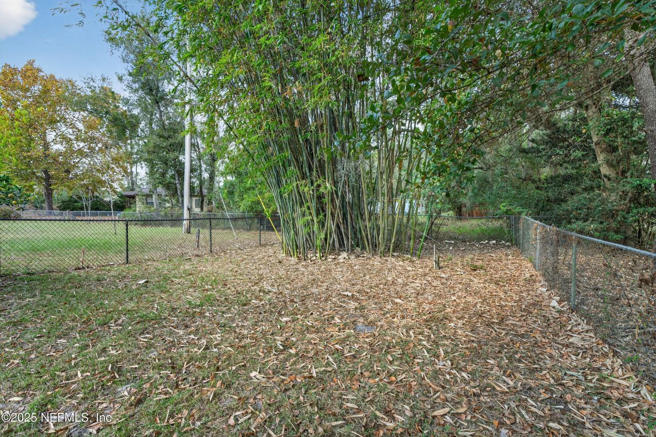 1285 Hatcher Road, Middleburg, FL 32068 Photo