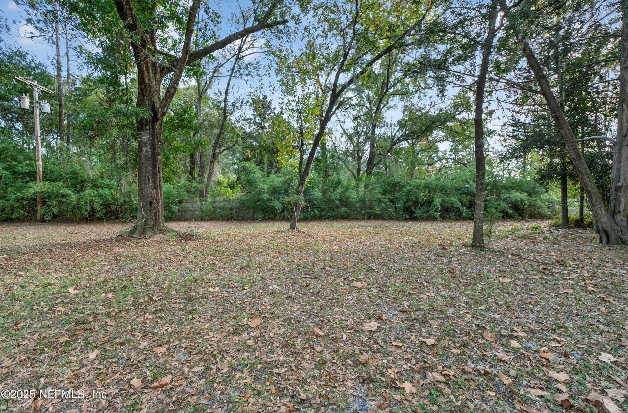 1285 Hatcher Road, Middleburg, FL 32068 Photo