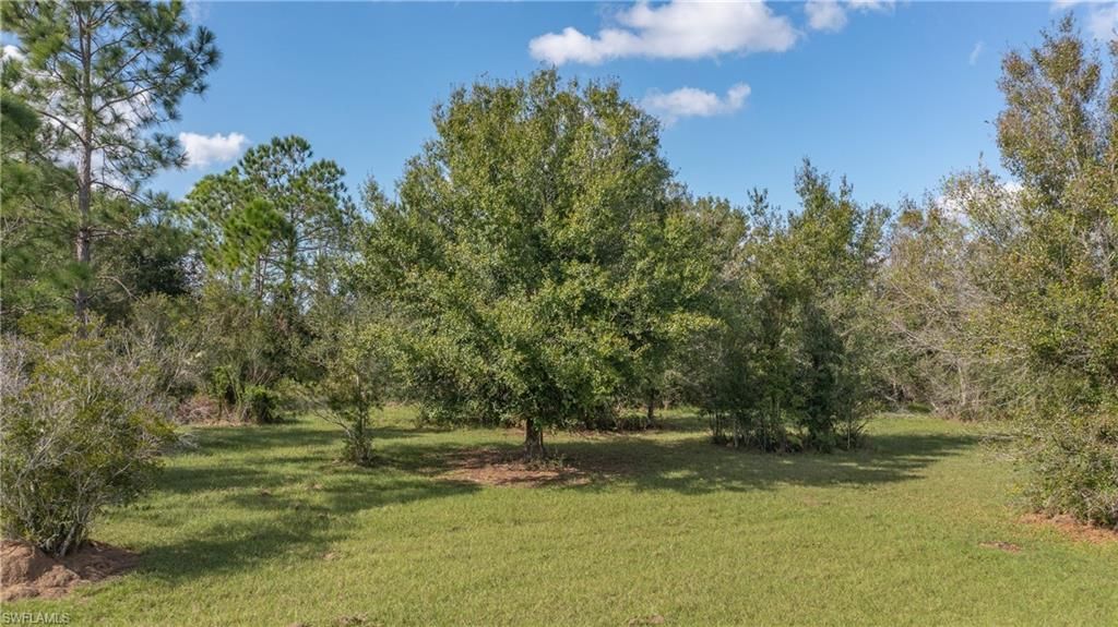 64 Clarice Ct, Venus, FL 33960 Photo