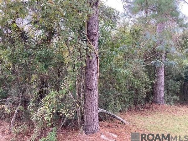 Lot 13 & 14 Lucien St, Denham Springs, LA 70726