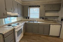 4503 Kindlewood Drive photo 4