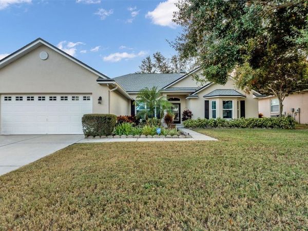 3875 ALAMANDA HILLS PLACE, LAKELAND, FL 33813