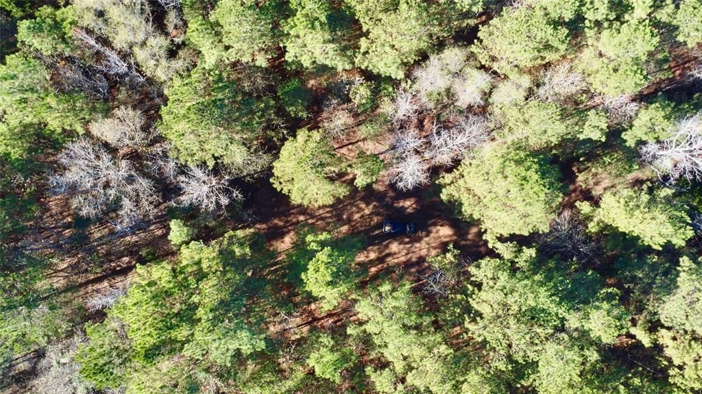 Tbd Cr 2921, Hughes Springs, TX 75656 Main Photo