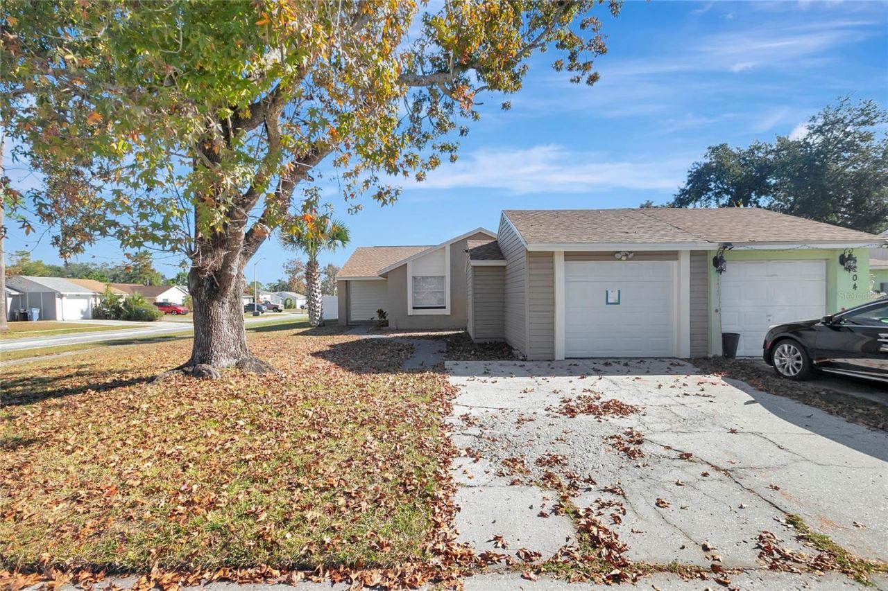 3202 Russett Drive, Tampa, FL 33618 Main Photo