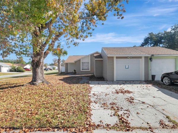 3202 RUSSETT DRIVE, TAMPA, FL 33618