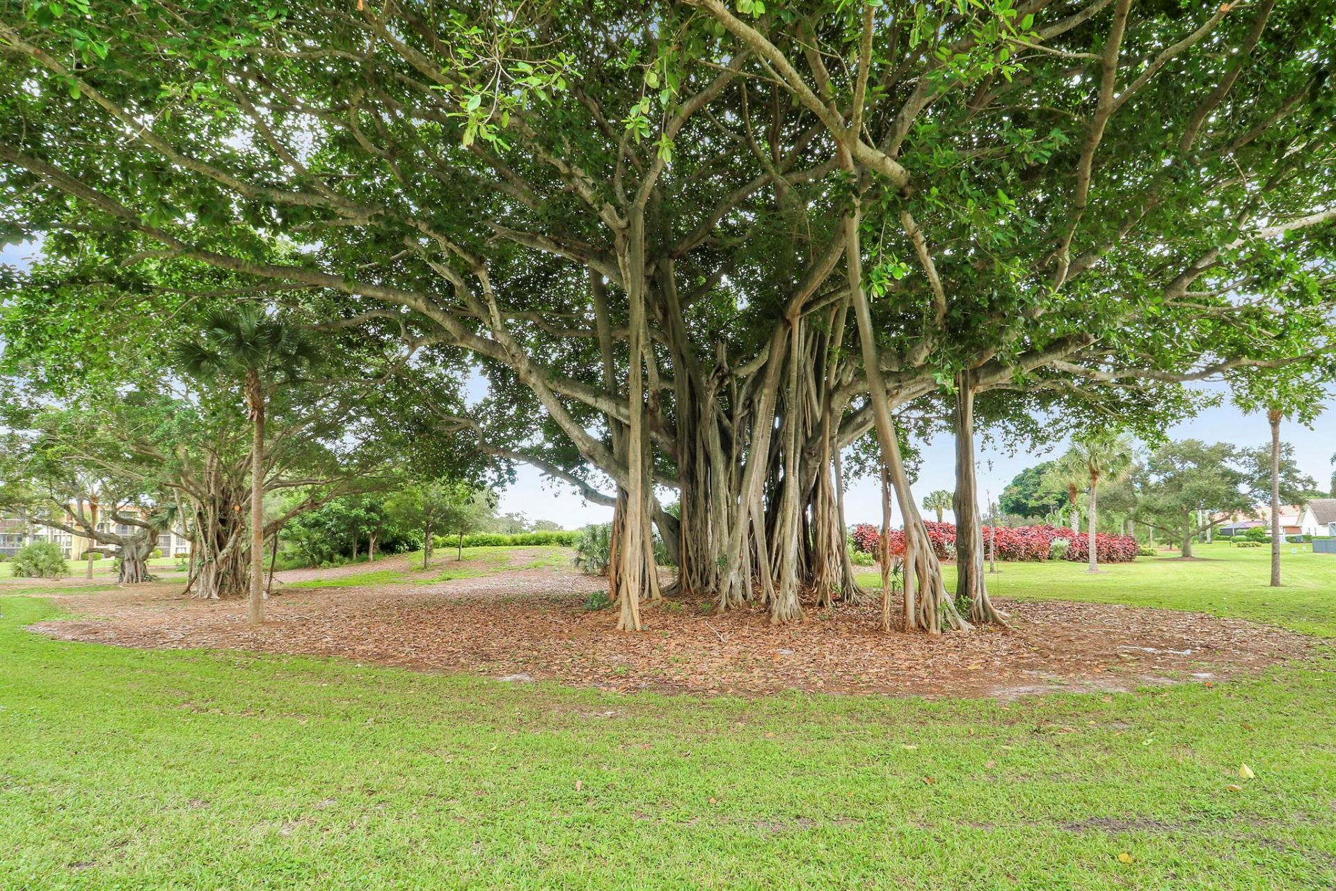 11800 Avenue Of The Pga, Unit 8, Palm Beach Gardens, FL 33418 Photo