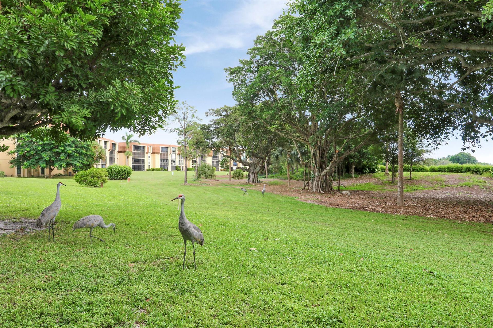 11800 Avenue Of The Pga, Unit 8, Palm Beach Gardens, FL 33418 Photo