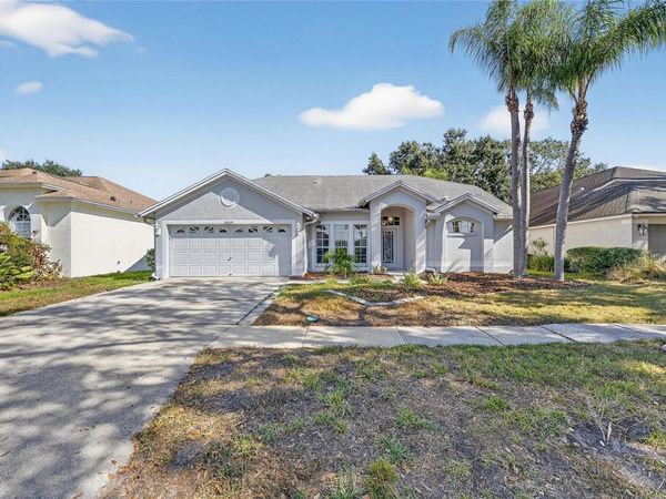 16604 LAKE HEATHER DRIVE, TAMPA, FL 33618