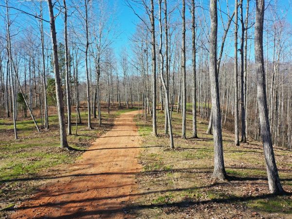 0 Bell Branch Road, Nunnelly, TN 37137