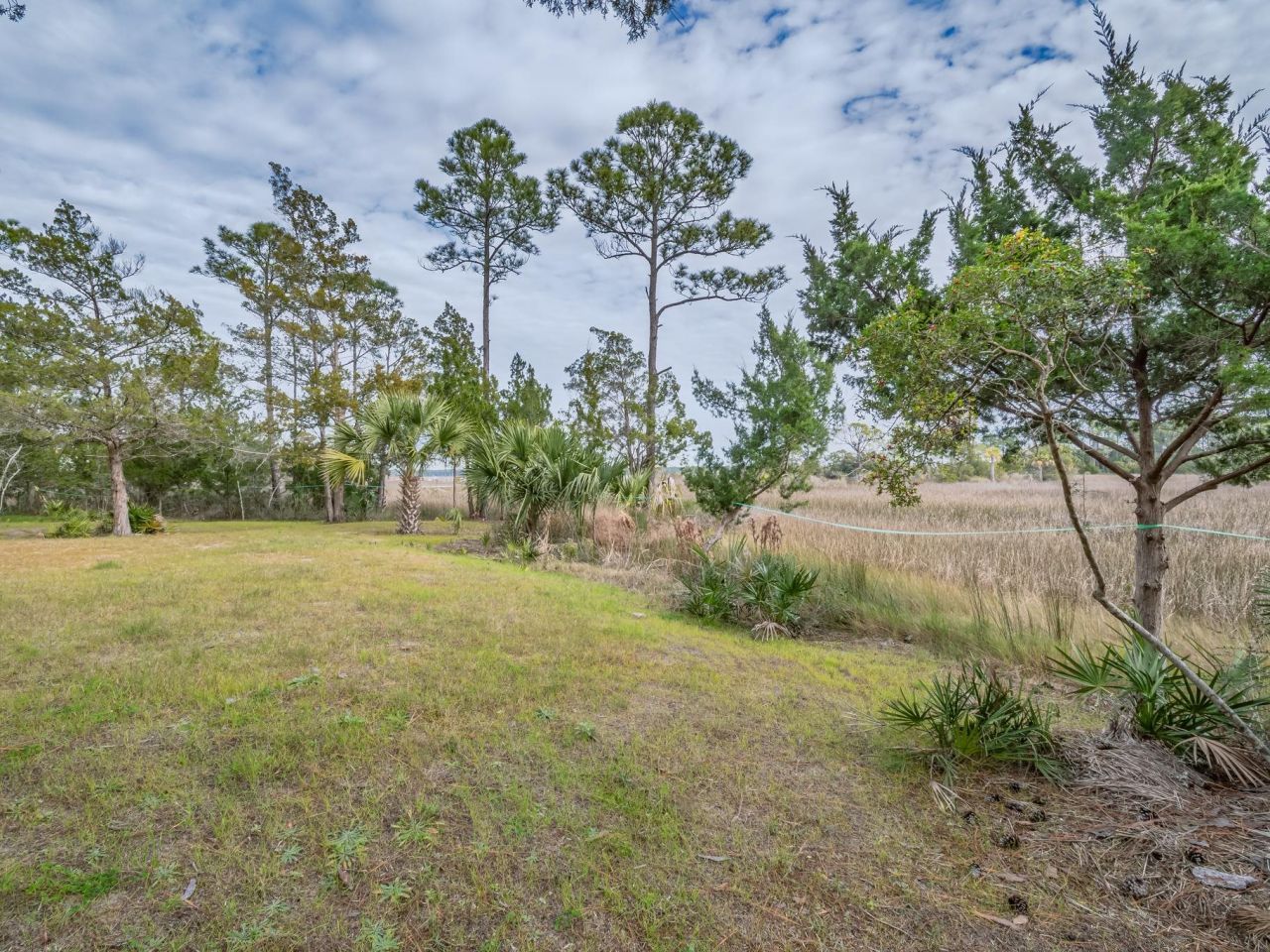 Xx Satilla Avenue, Panacea, FL 32346 Photo