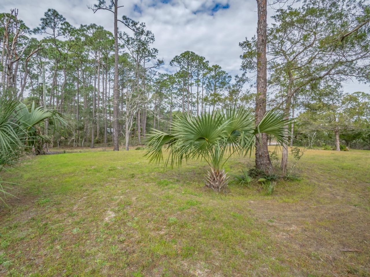 Xx Satilla Avenue, Panacea, FL 32346 Photo