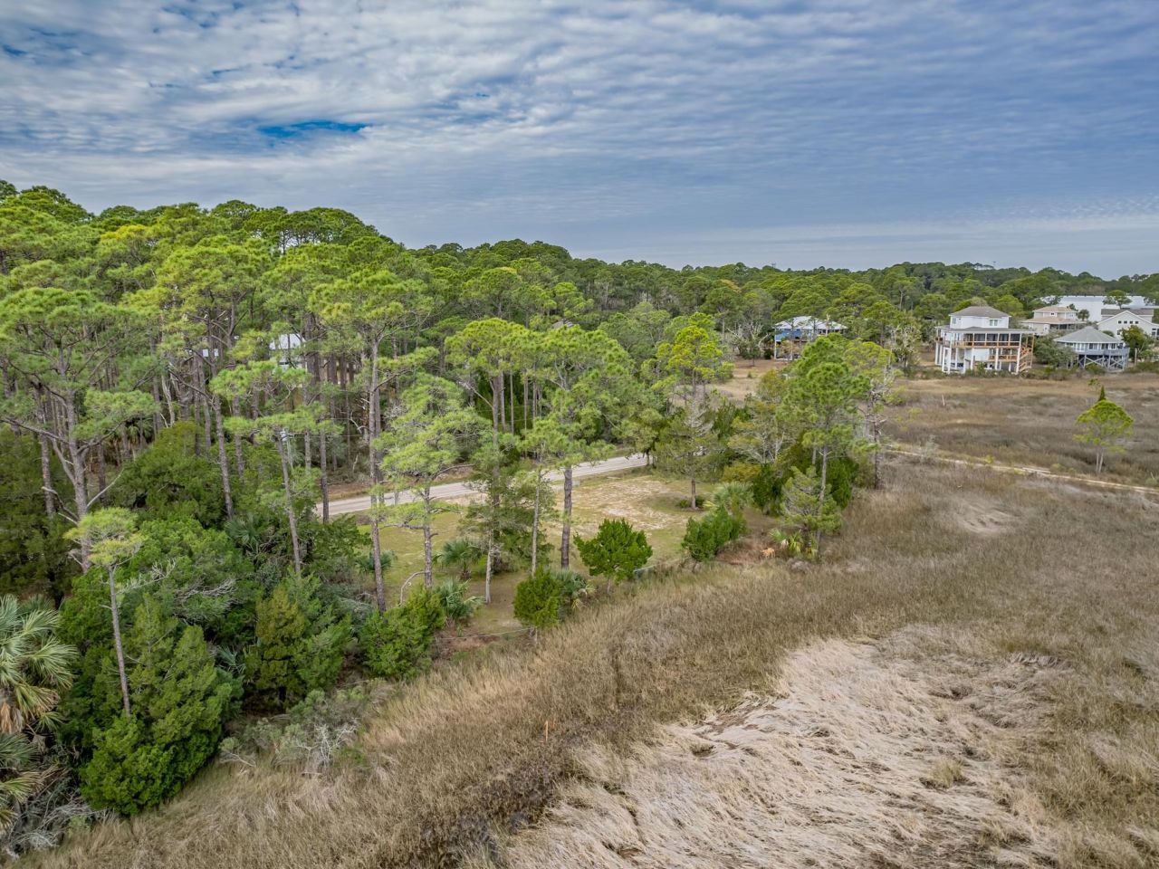 Xx Satilla Avenue, Panacea, FL 32346 Photo