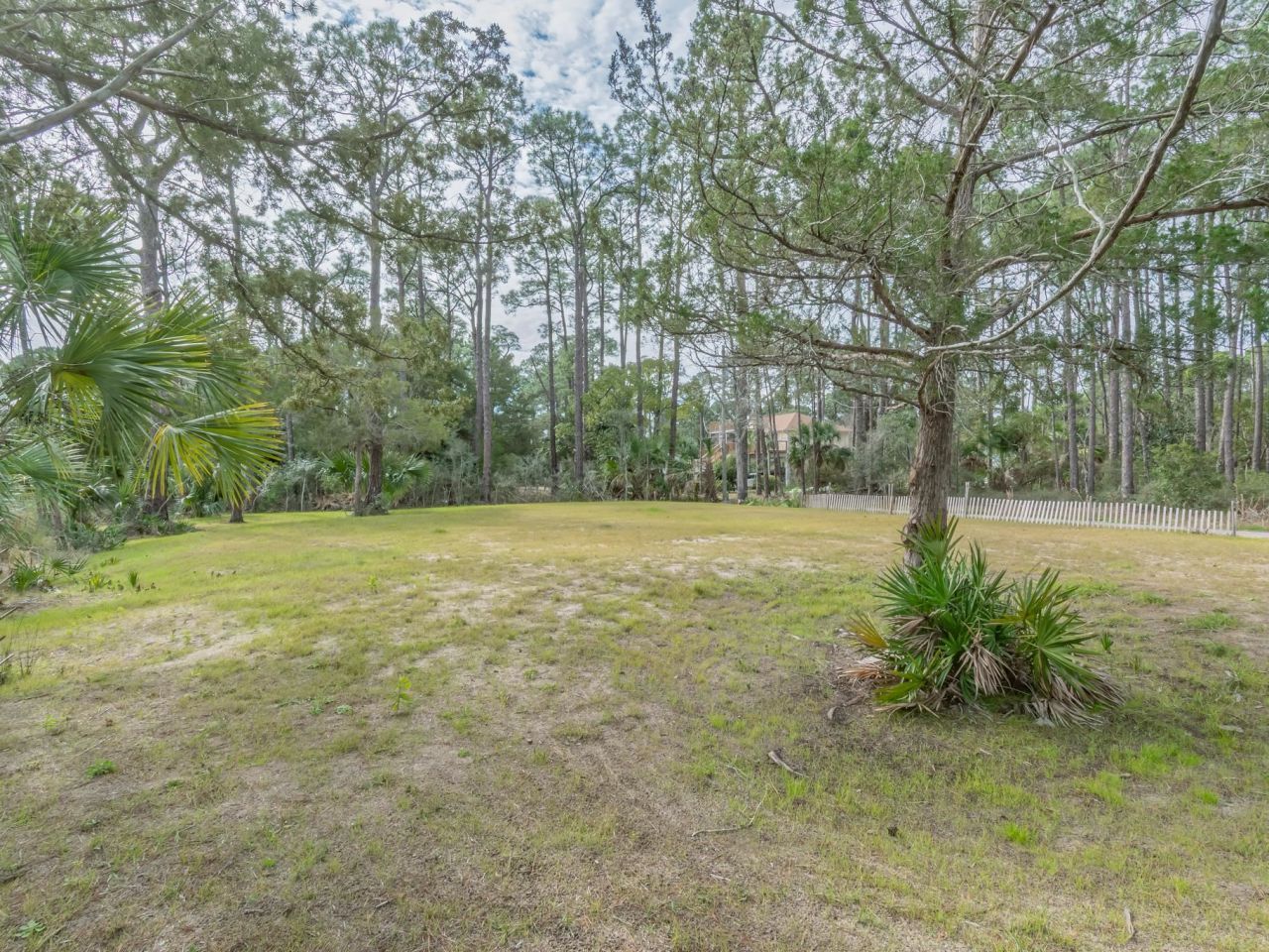 Xx Satilla Avenue, Panacea, FL 32346 Photo