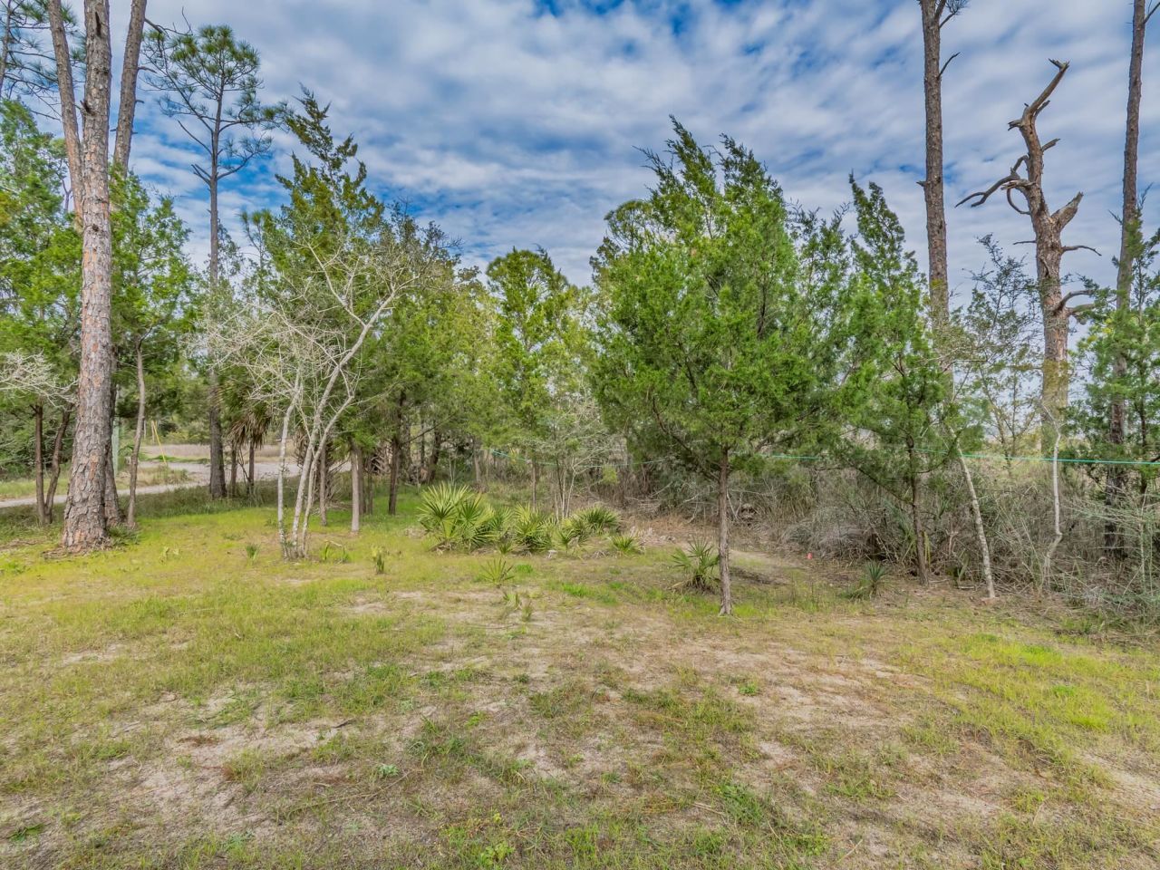 Xx Satilla Avenue, Panacea, FL 32346 Photo