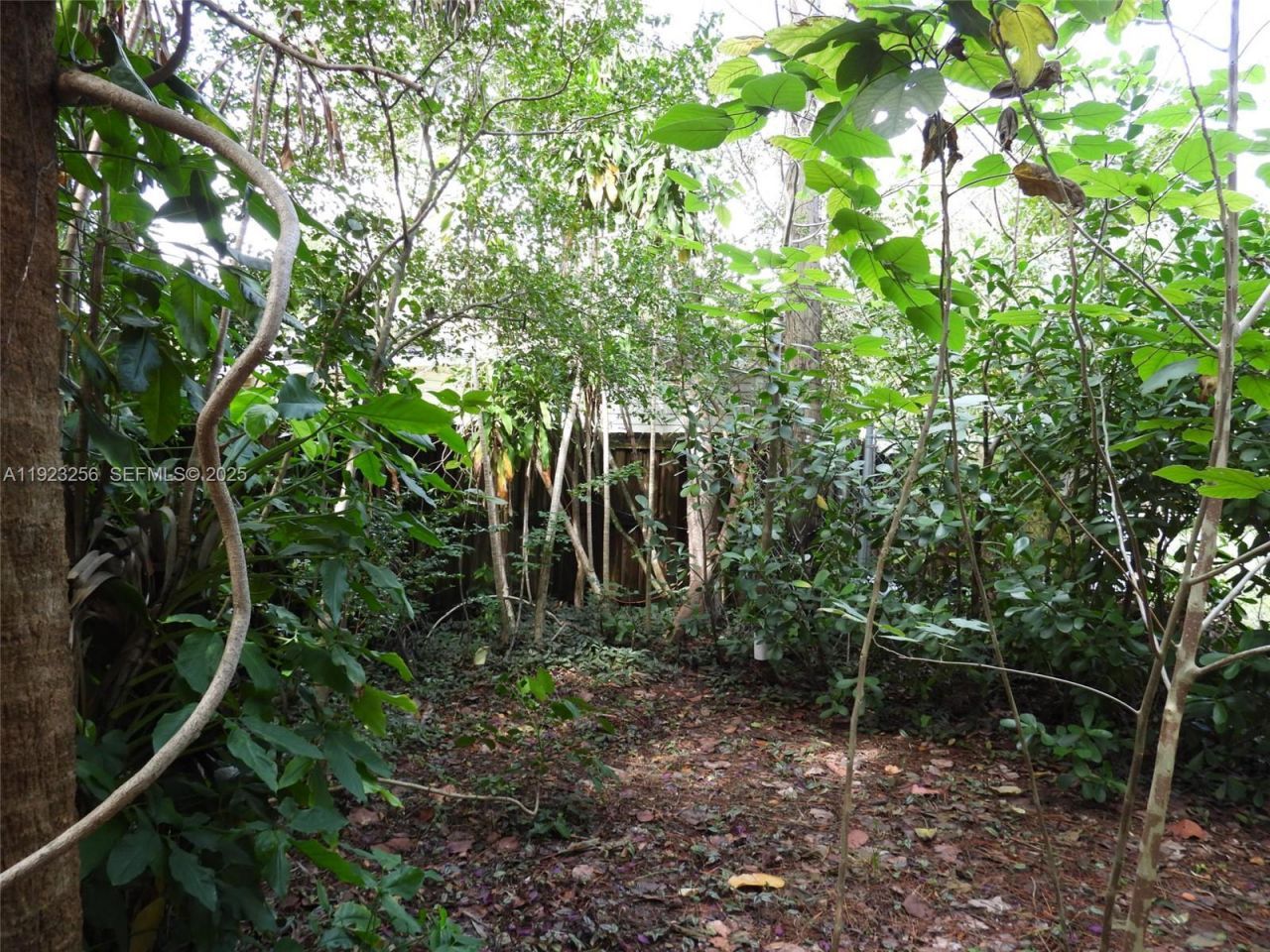 705 SW 14th Ave, Fort Lauderdale, FL 33312 Photo