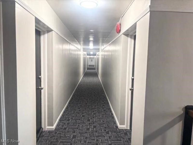 22550 Euclid Avenue, Unit 102, Euclid, OH 44117 Photo 10