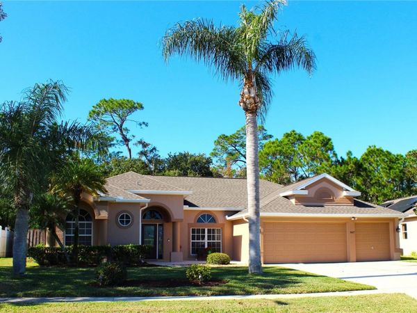 3817 BIRCH MOUNTAIN ROAD, PORT ORANGE, FL 32129