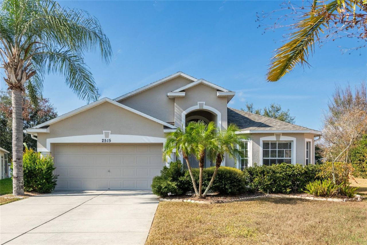 2515 Butterfly Landing Drive, Land O Lakes, FL 34638 Main Photo