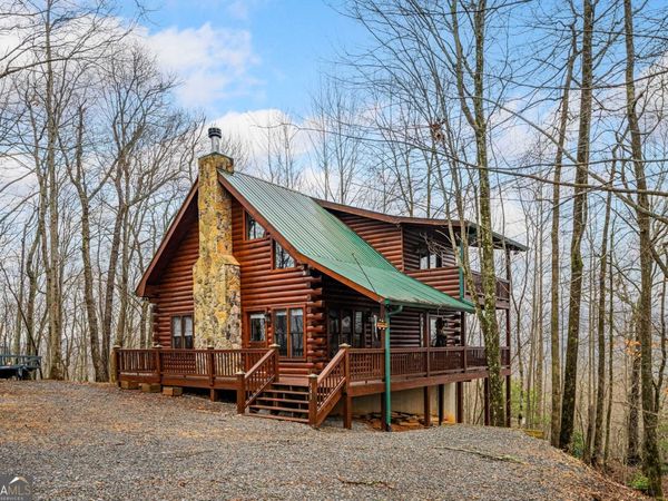 541 Little Bushy Head Road, Unit 271, Cherry Log, GA 30522