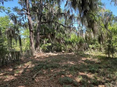 0 Willtown Road, Hollywood, SC 29449