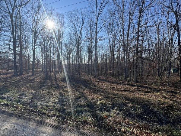 151 Kimberly Rd , Hohenwald, TN 38462