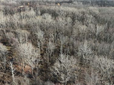 0 Lynch Road, Holley, NY 14470