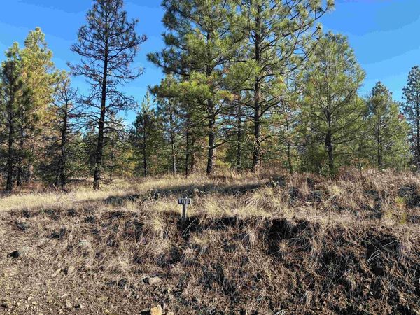 35430 N Prairie Ln, Creston, WA 99117