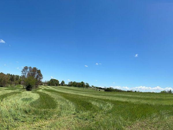 Tbd County Road 14-252, Drury, MO 65638