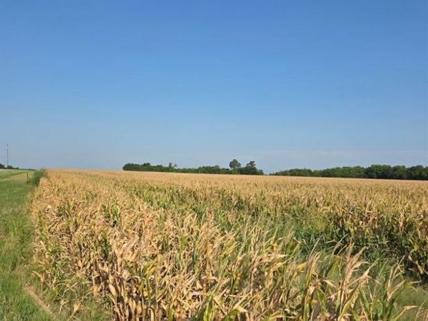 0000 HWY 82, Honey Grove, TX 75446