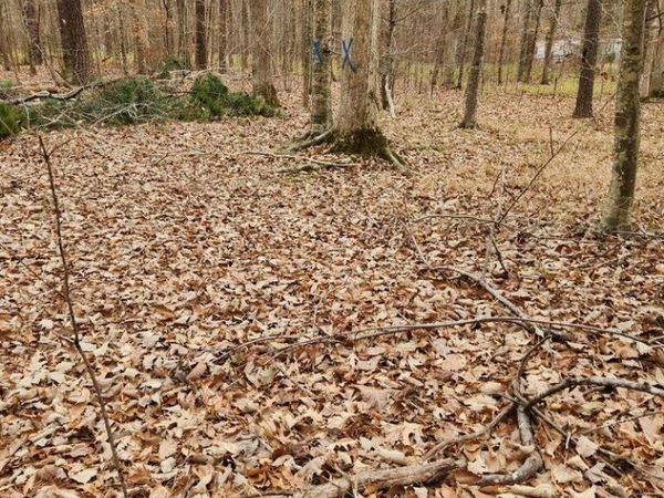 146 Tranquility Lane, Hertford, NC 27944