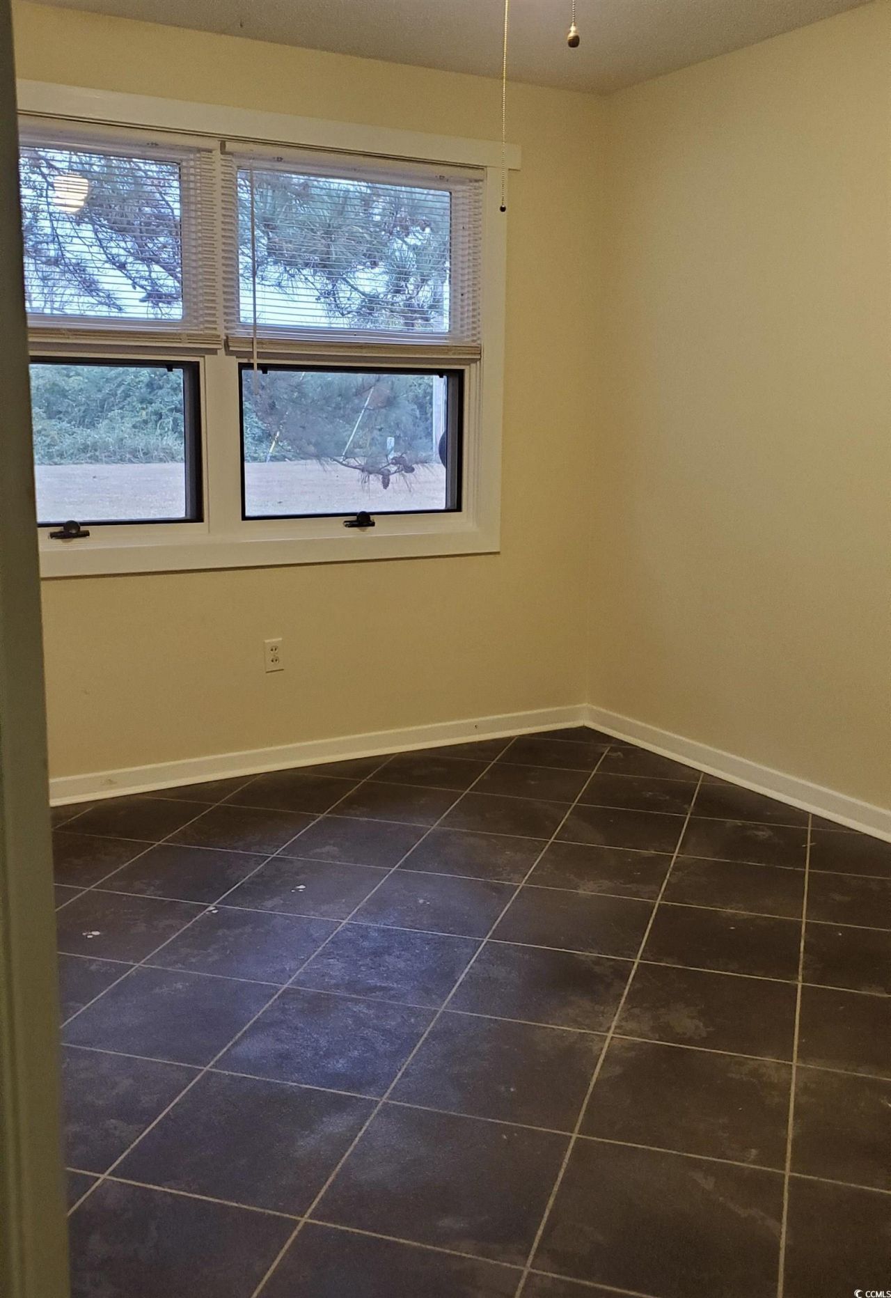 666 Mallard Lake Dr. Photo 10