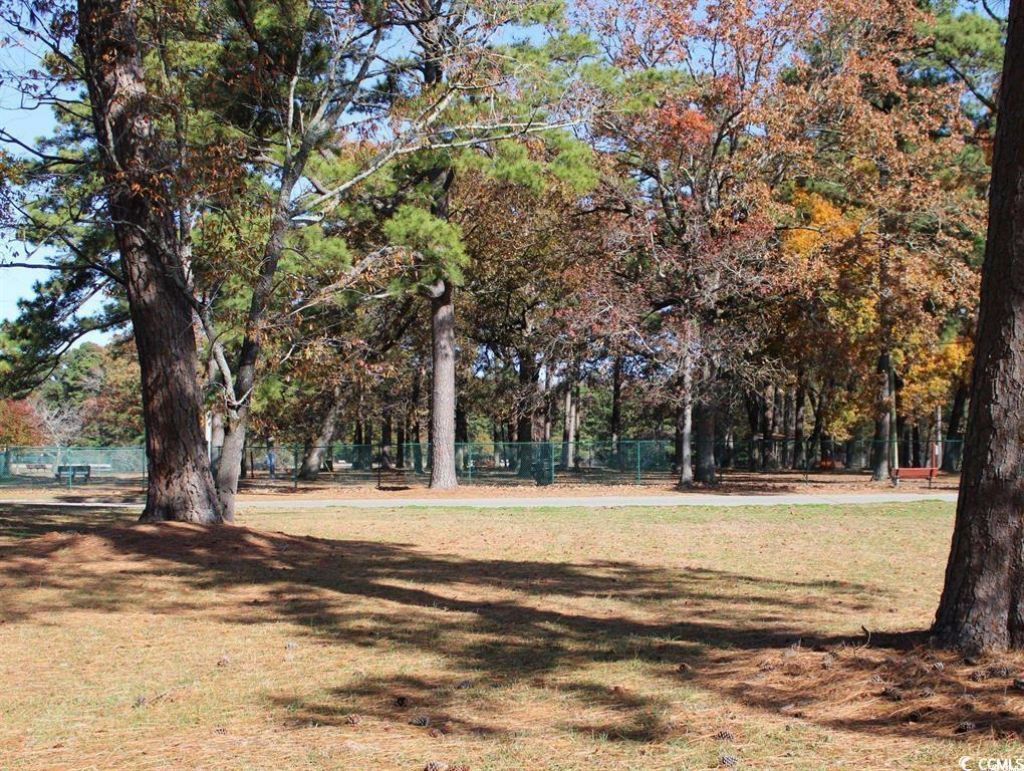 666 Mallard Lake Dr. Photo 17