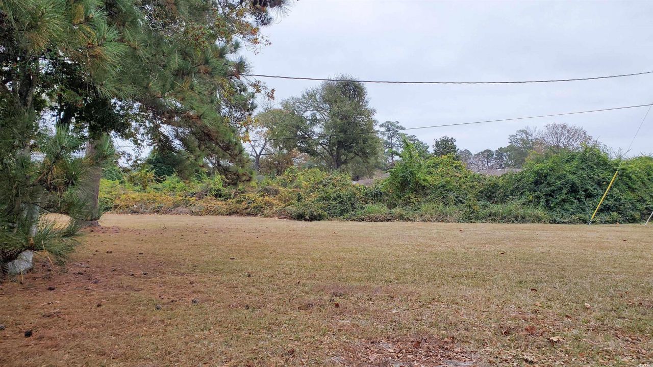 666 Mallard Lake Dr. Photo 4