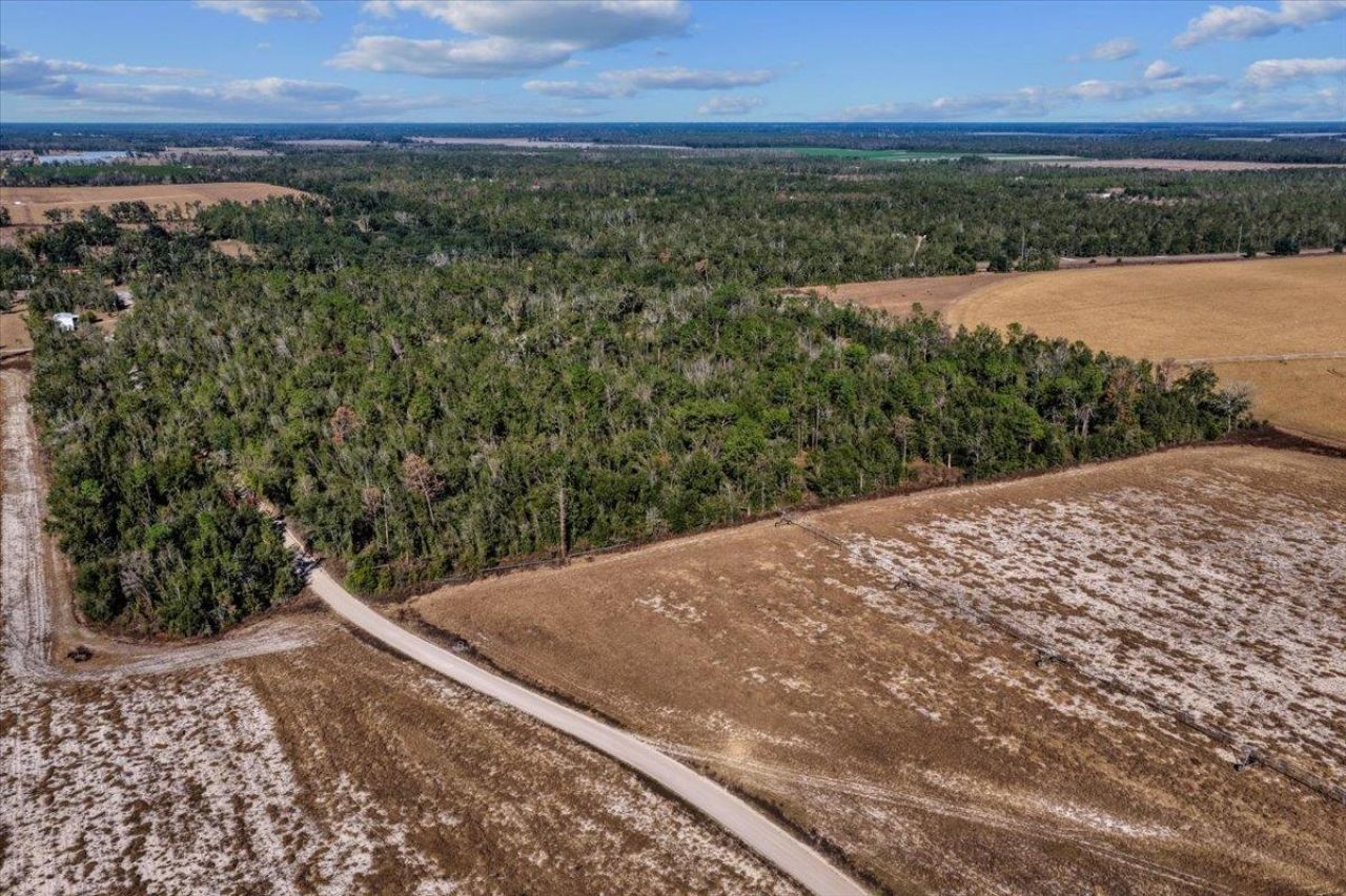 0 SE Camelot Way , Lee, FL 32059 Photo