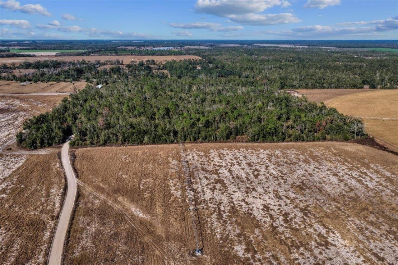 0 SE Camelot Way , Lee, FL 32059 Photo