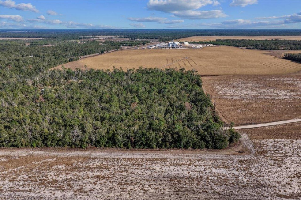 0 SE Camelot Way , Lee, FL 32059 Photo