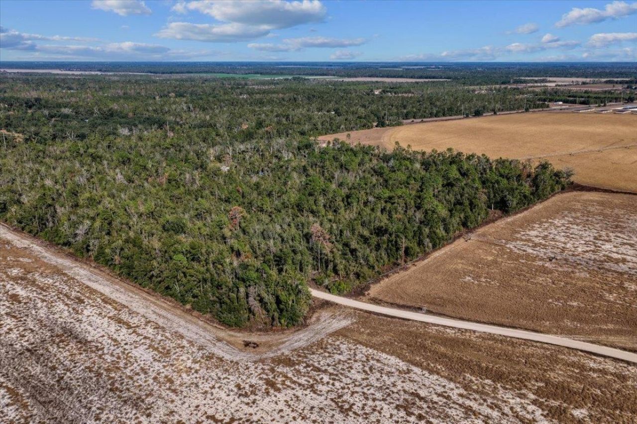 0 SE Camelot Way , Lee, FL 32059 Photo