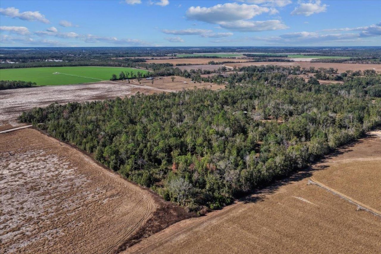 0 SE Camelot Way , Lee, FL 32059 Photo