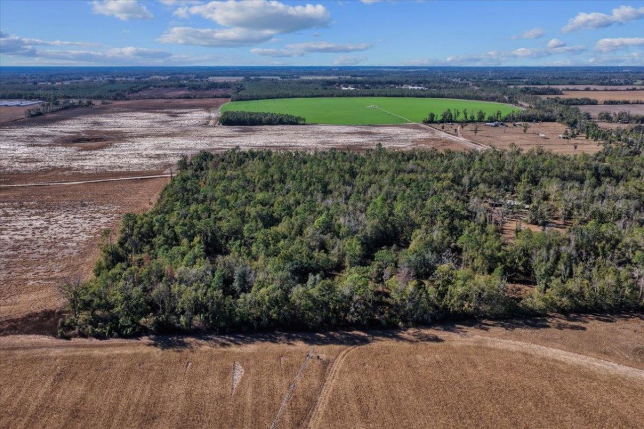 0 SE Camelot Way , Lee, FL 32059 Photo