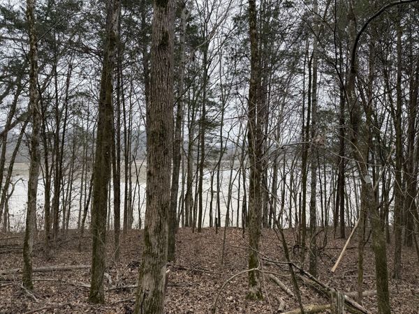 0 Cook Ln, Gainesboro, TN 38562