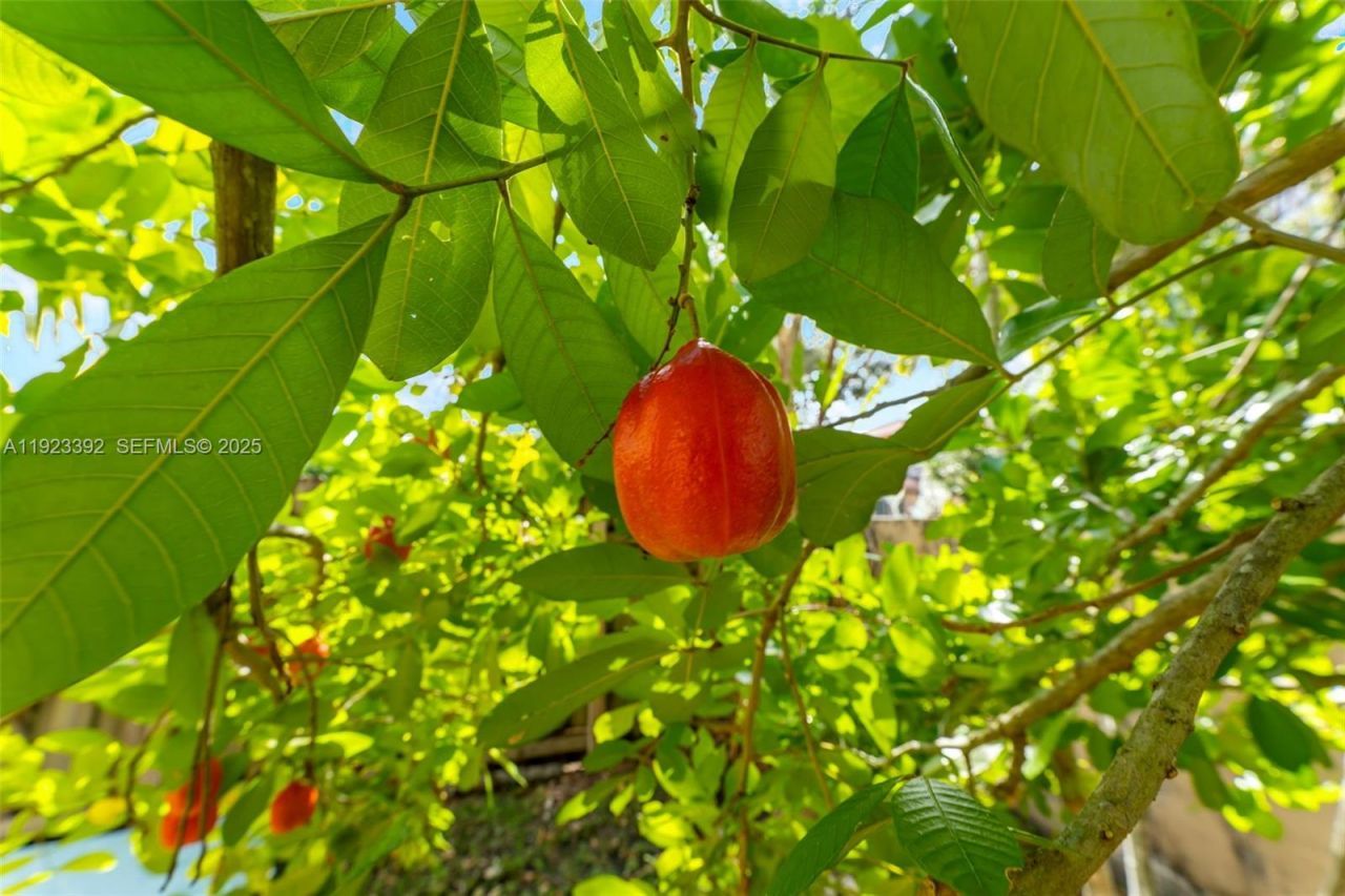 2110 NW 190th Ave, Pembroke Pines, FL 33029 Photo