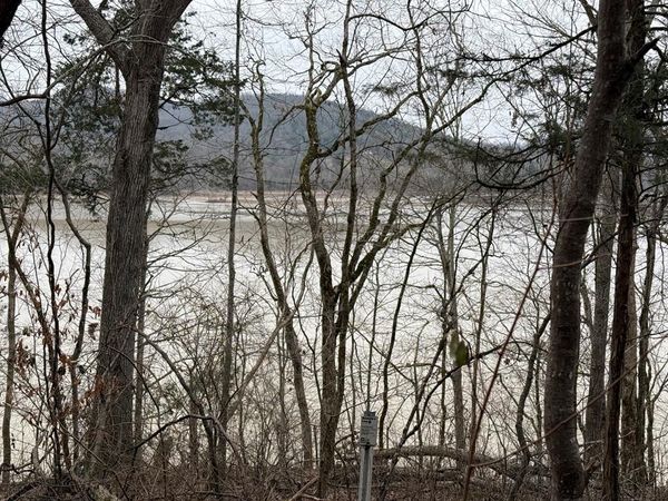 37.88 Ac Cook Ln, Gainesboro, TN 38562